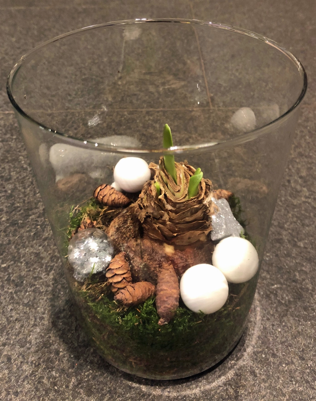 amaryllis bol in glas wit